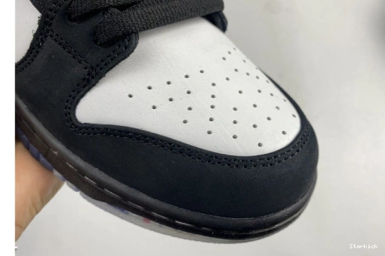 BV1310-013 SB Panda Pigeon Dunk Staple Nike Low 1108